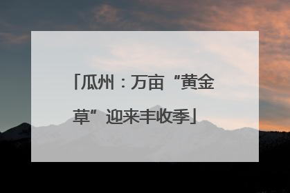 瓜州：万亩“黄金草”迎来丰收季