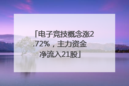 电子竞技概念涨2.72%，主力资金净流入21股