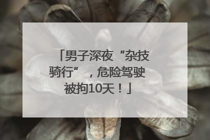 男子深夜“杂技骑行”，危险驾驶被拘10天！