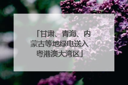 甘肃、青海、内蒙古等地绿电送入粤港澳大湾区