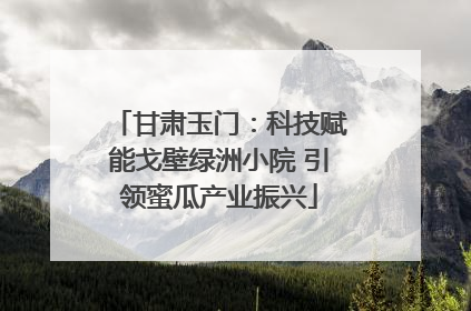 甘肃玉门：科技赋能戈壁绿洲小院 引领蜜瓜产业振兴