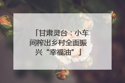 甘肃灵台：小车间榨出乡村全面振兴“幸福油”