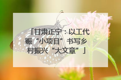 甘肃正宁：以工代赈“小项目”书写乡村振兴“大文章”
