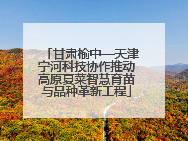 甘肃榆中—天津宁河科技协作推动高原夏菜智慧育苗与品种革新工程