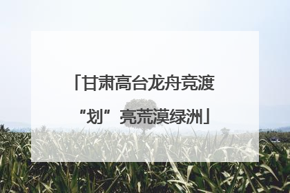 甘肃高台龙舟竞渡“划”亮荒漠绿洲