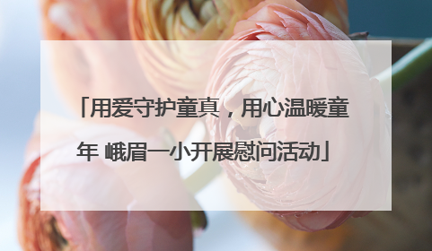 用爱守护童真，用心温暖童年 峨眉一小开展慰问活动
