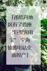 甬绍舟地区有了首座“巨型充电宝” 宁海抽蓄电站全面投产