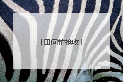 田间忙抢收