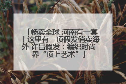畅卖全球 河南有一套丨这里有一顶假发俏卖海外 许昌假发：编织时尚界“顶上艺术”