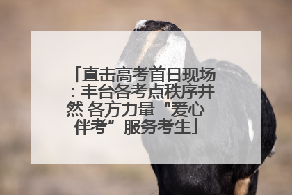 直击高考首日现场：丰台各考点秩序井然 各方力量“爱心伴考”服务考生