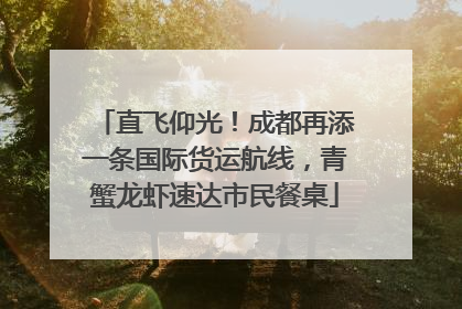 直飞仰光！成都再添一条国际货运航线，青蟹龙虾速达市民餐桌