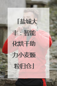 盐城大丰：智能化烘干助力小麦颗粒归仓