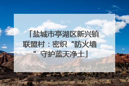 盐城市亭湖区新兴镇联盟村：密织“防火墙”守护蓝天净土