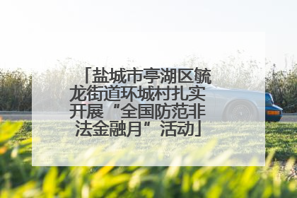 盐城市亭湖区毓龙街道环城村扎实开展“全国防范非法金融月”活动
