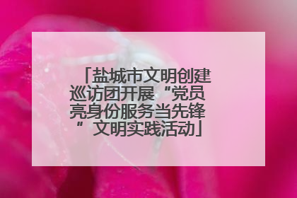 盐城市文明创建巡访团开展“党员亮身份服务当先锋”文明实践活动
