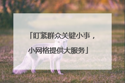 盯紧群众关键小事，小网格提供大服务