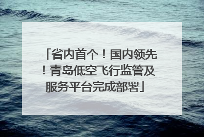 省内首个！国内领先！青岛低空飞行监管及服务平台完成部署
