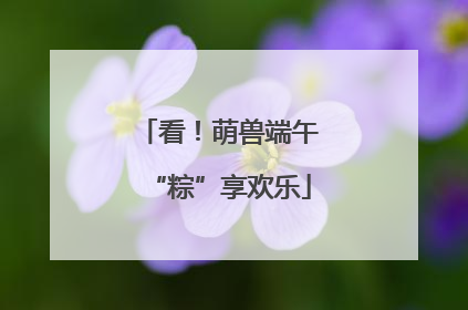 看！萌兽端午“粽”享欢乐