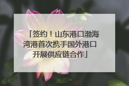 签约！山东港口渤海湾港首次携手国外港口开展供应链合作