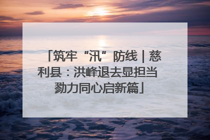 筑牢“汛”防线｜慈利县：洪峰退去显担当 勠力同心启新篇