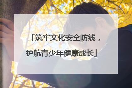 筑牢文化安全防线，护航青少年健康成长