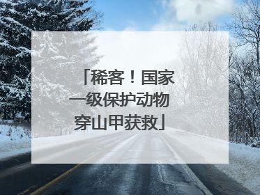 稀客！国家一级保护动物穿山甲获救