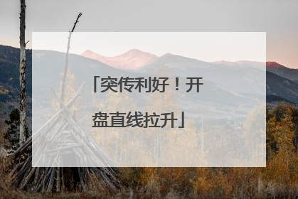 突传利好！开盘直线拉升