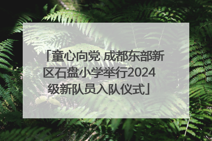 童心向党 成都东部新区石盘小学举行2024级新队员入队仪式