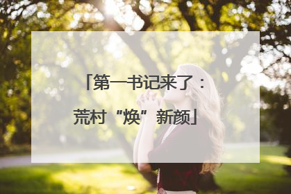 第一书记来了：荒村“焕”新颜