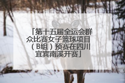 第十五届全运会群众比赛女子篮球项目（B组）预赛在四川宜宾南溪开赛