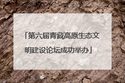 第六届青藏高原生态文明建设论坛成功举办