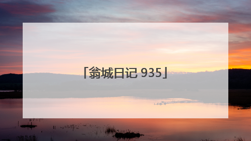 翁城日记 935