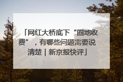 网红大桥底下“圈地收费”，有哪些问题需要说清楚｜新京报快评