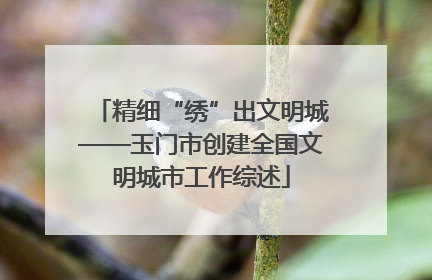 精细“绣”出文明城——玉门市创建全国文明城市工作综述