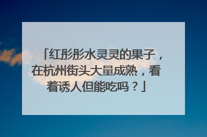 红彤彤水灵灵的果子，在杭州街头大量成熟，看着诱人但能吃吗？