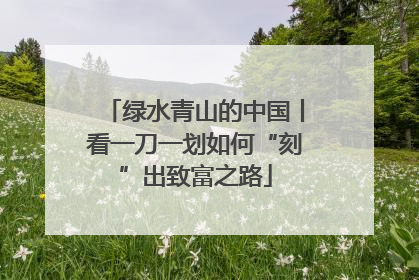 绿水青山的中国丨看一刀一划如何“刻”出致富之路