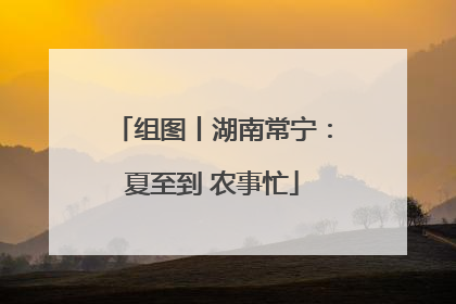 组图丨湖南常宁：夏至到 农事忙