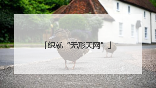 织就“无形天网”
