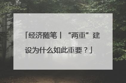经济随笔丨“两重”建设为什么如此重要？