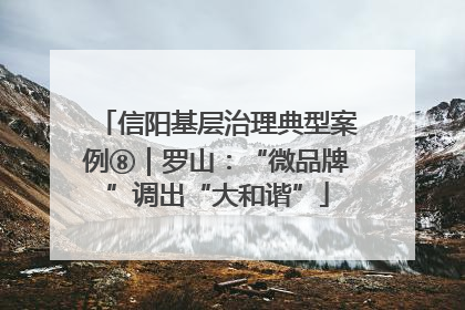 信阳基层治理典型案例⑧｜罗山：“微品牌”调出“大和谐”