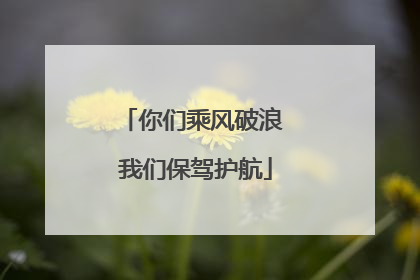 你们乘风破浪 我们保驾护航