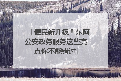 便民新升级！东阿公安政务服务这些亮点你不能错过