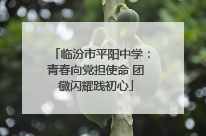 临汾市平阳中学：青春向党担使命 团徽闪耀践初心