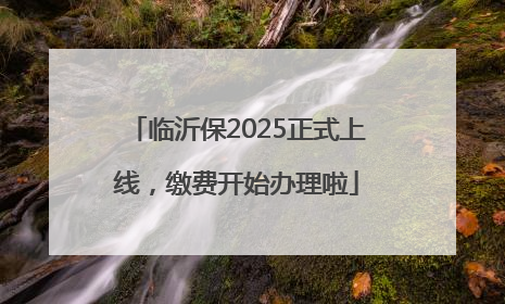 临沂保2025正式上线，缴费开始办理啦