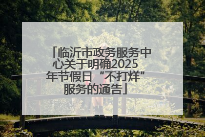 临沂市政务服务中心关于明确2025年节假日“不打烊”服务的通告