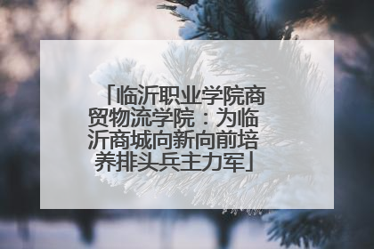临沂职业学院商贸物流学院：为临沂商城向新向前培养排头兵主力军