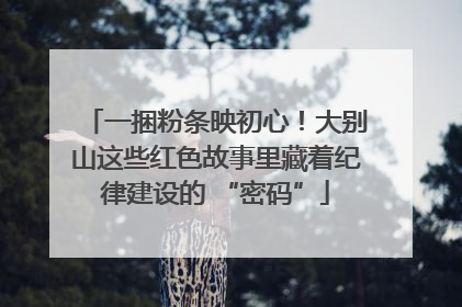 一捆粉条映初心！大别山这些红色故事里藏着纪律建设的 “密码”