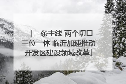 一条主线 两个切口 三位一体 临沂加速推动开发区建设领域改革