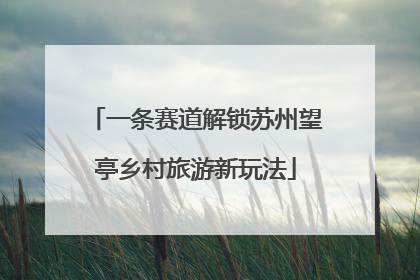 一条赛道解锁苏州望亭乡村旅游新玩法