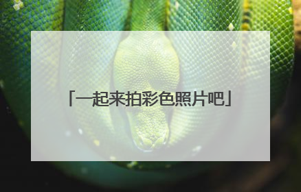 一起来拍彩色照片吧